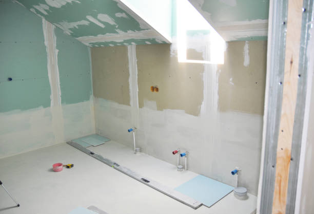 Best Crawl Space Mold Remediation  in Olivarez, TX