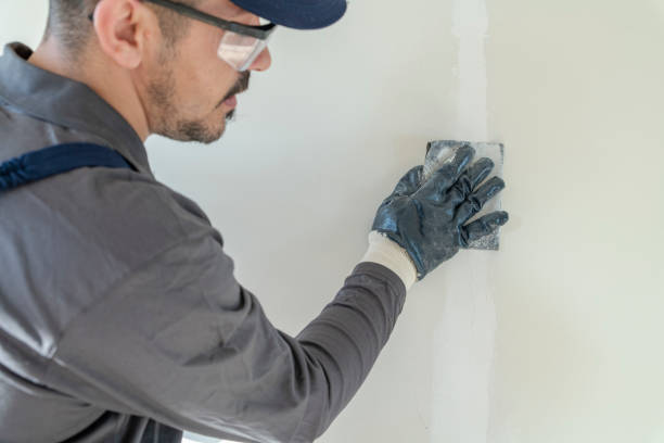 Best Black Mold Removal  in Olivarez, TX