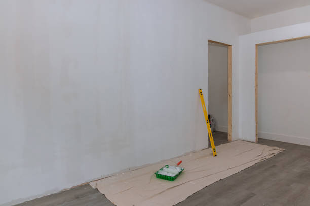 Best Mold Documentation for Insurance Claims  in Olivarez, TX