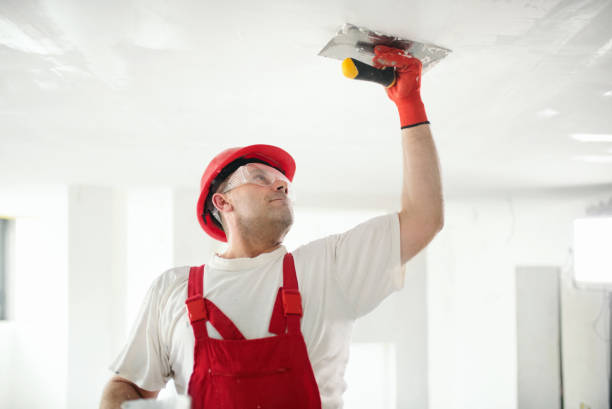 Best Mold Damage Restoration  in Olivarez, TX