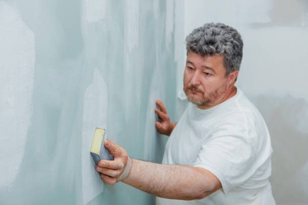Best Mold Odor Removal Services  in Olivarez, TX