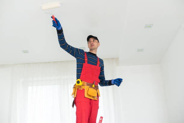 Best Water Damage & Mold Remediation  in Olivarez, TX