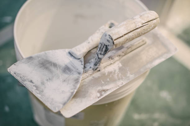 Best Post-Construction Mold Inspection  in Olivarez, TX